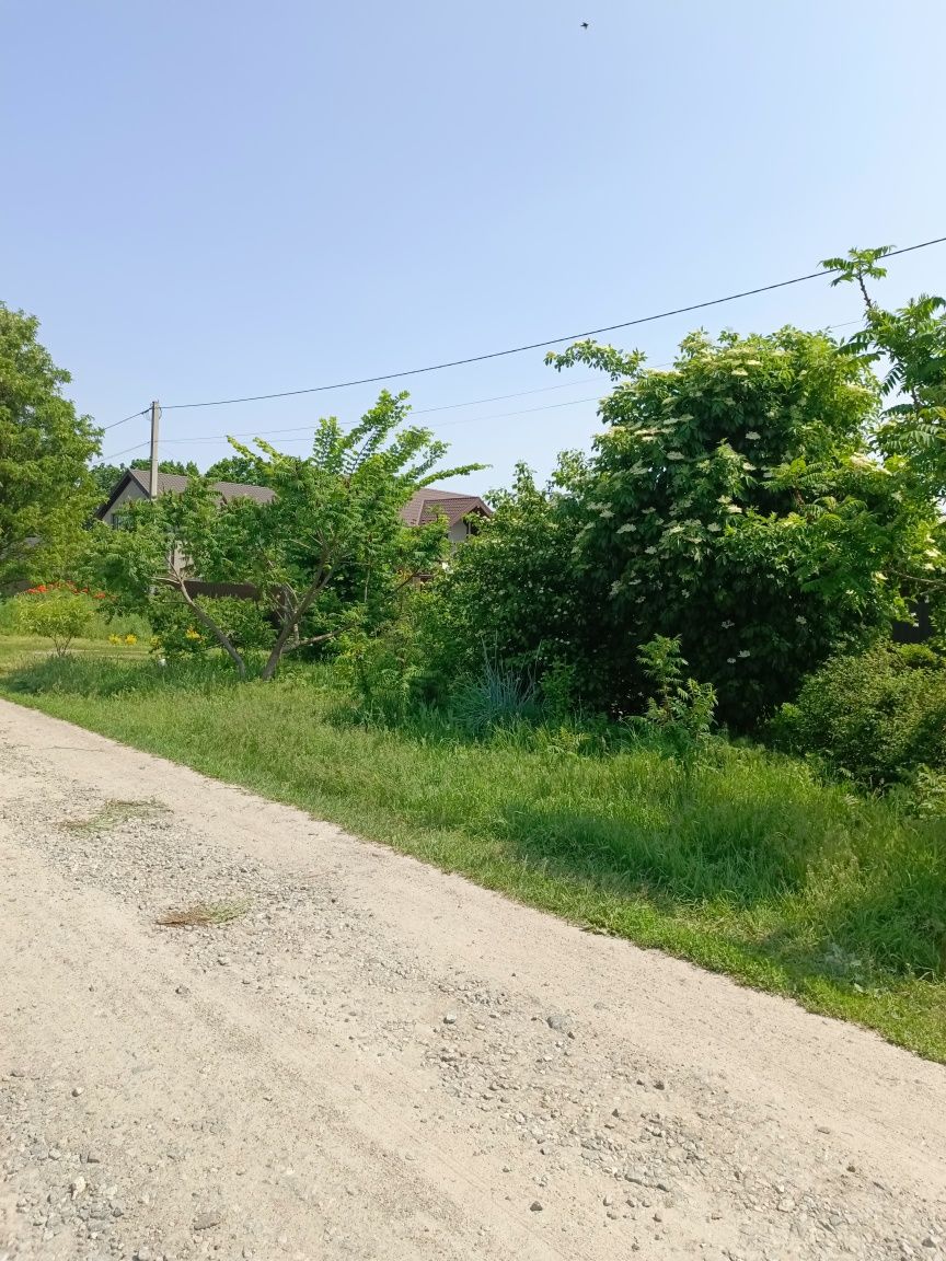 Продам земельну ділянку селище Княжичі