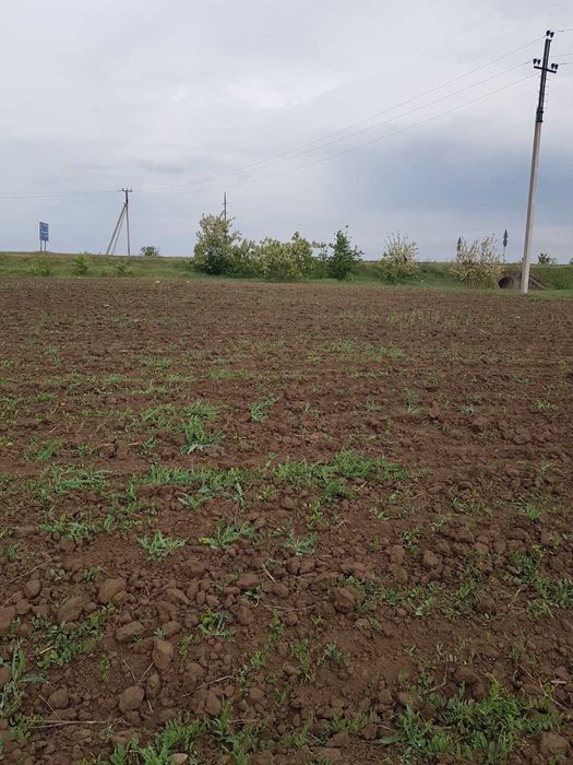 Обмен комерческого участка на авто с возможностью расширение до 2га