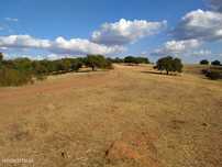 Herdade com 110 ha próximo da Vila de Redondo