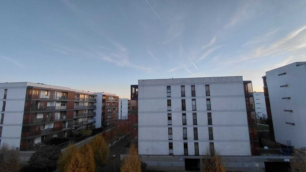 Zwierzolubny, komfortowy pokój, Węglinek, wolny od zaraz