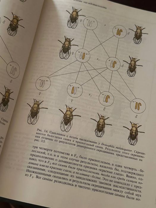 Ф. Айала, Дж. Кайгер Генетика