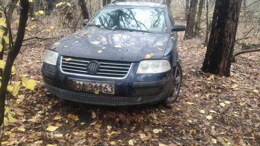 Passat B5 1.9 tdi 2003 Универсал механика