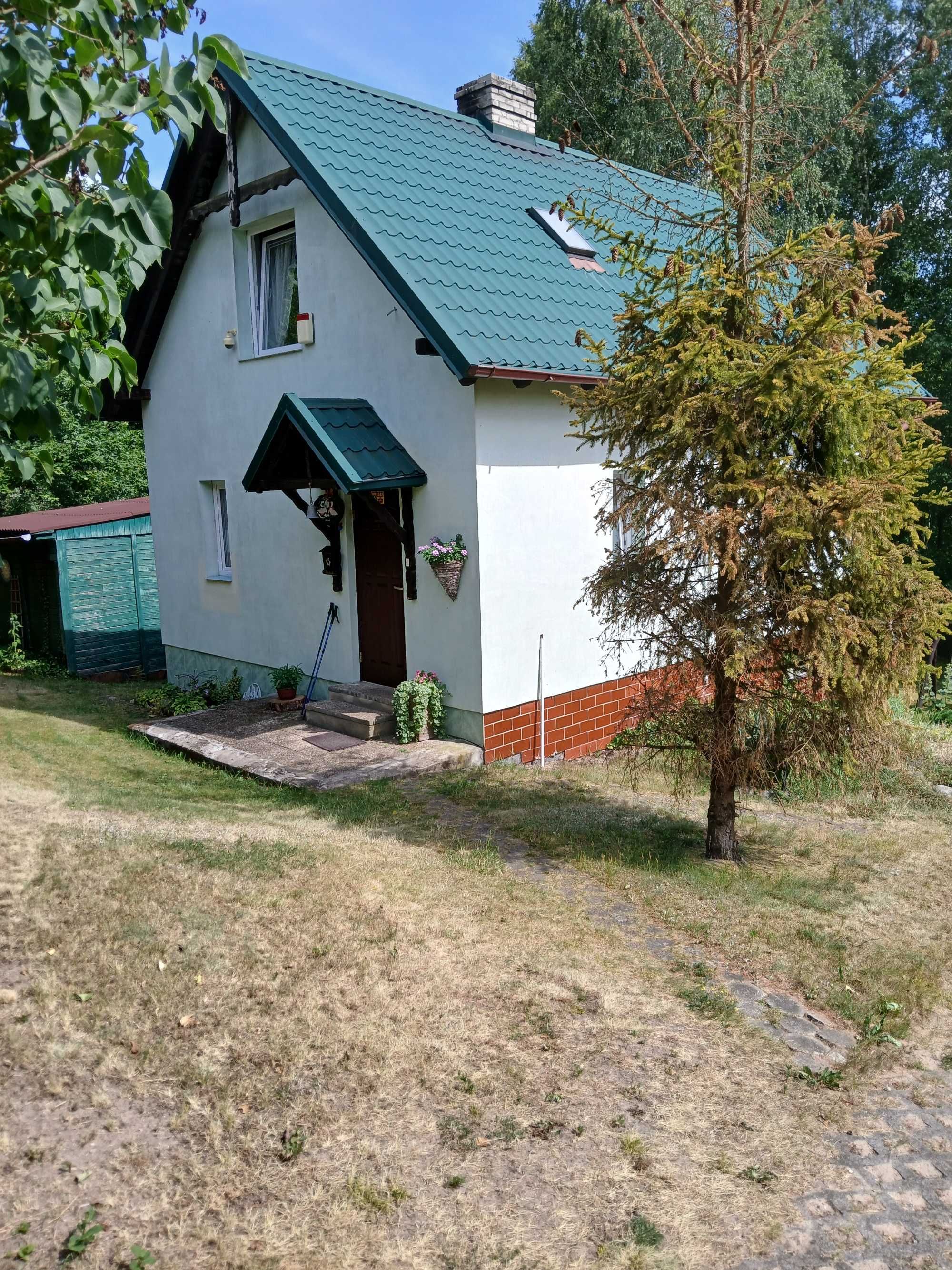 Dom całoroczny w borach tucholskich  20m od REZERWACJA DO WTORKU