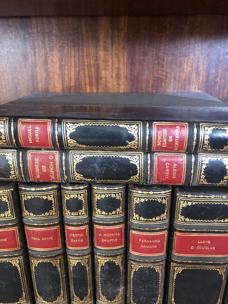 Varios autores de renome nacionais e internacionais