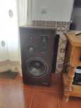 Par de colunas hi fi, Infinity studio monitor 120
