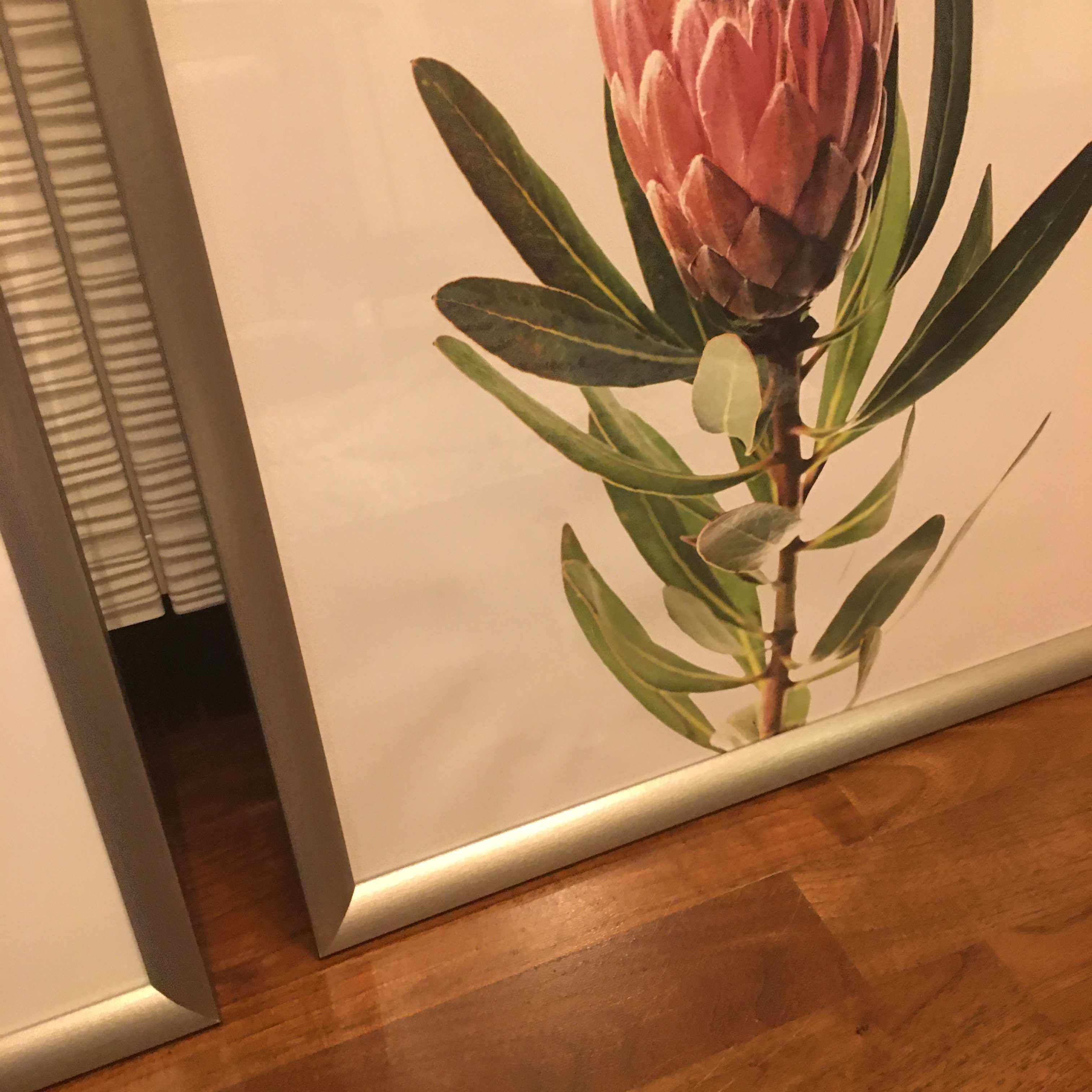 2 obrazy Ikea 40 x 50 cm
