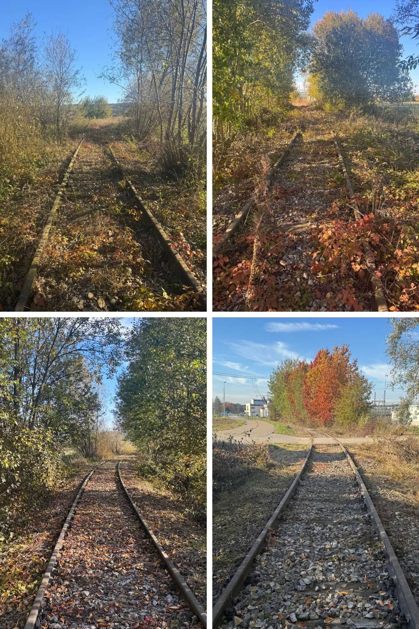 Mulczowanie/Wycinka/Podnośnik koszowy