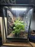 Terarium 40x40x60 z wyposarzeniem lampa nawilzacz sterowanie
