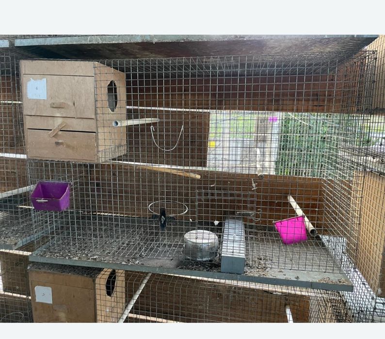 Gaiolas para passaros