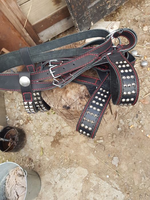 Кантар вуздечка наголовник