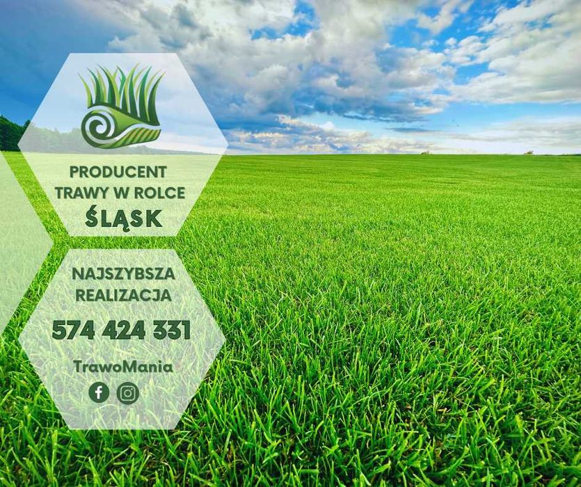 *** TRAWOMANIA - najlepsza trawa z rolki na Śląsku ***