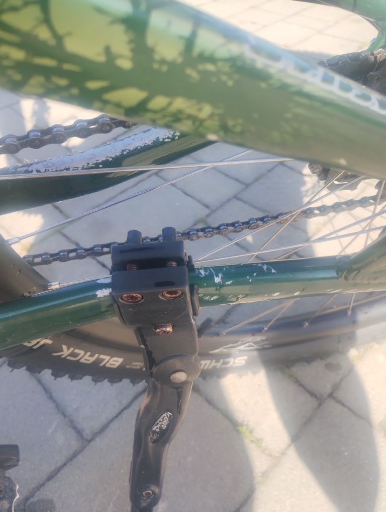 Rower Specialized