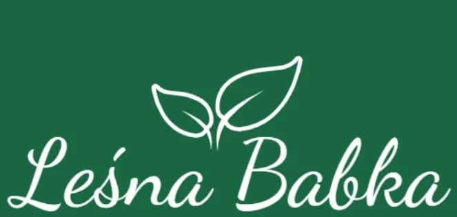 Agroturystyka Leśna Babka