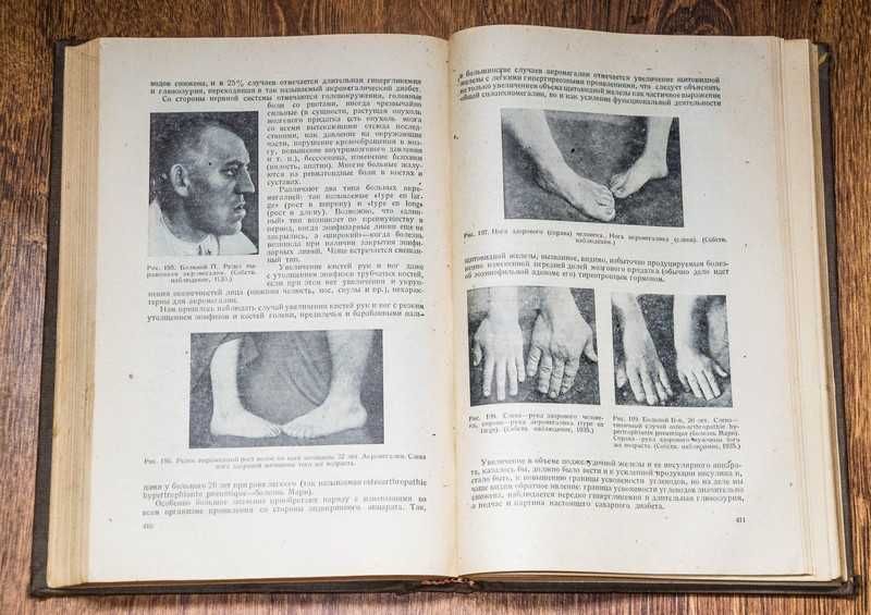 Основы эндокринологии 1936