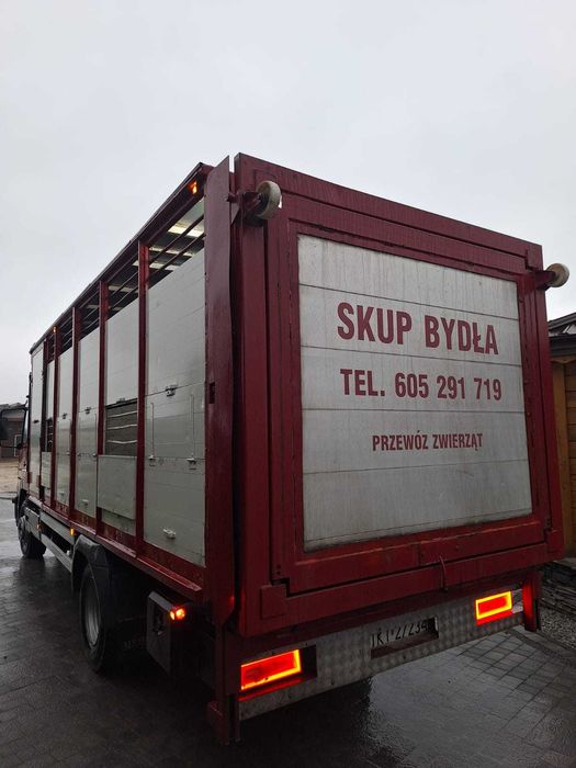 Mercedes Atego 1523 do przewozu zwierzat