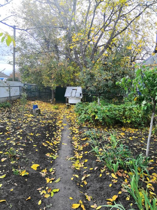 Продається будинок с. Пустовіти