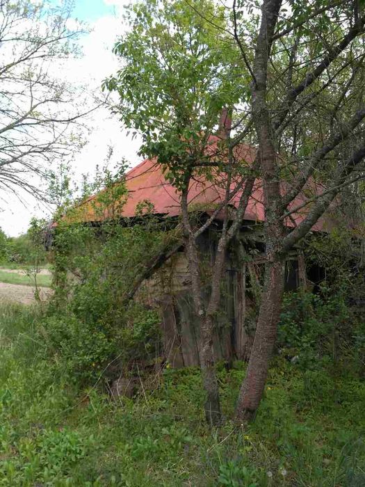 Продаж землі в селі Ясногородка Вишгородського району, 23 тис. у.е.