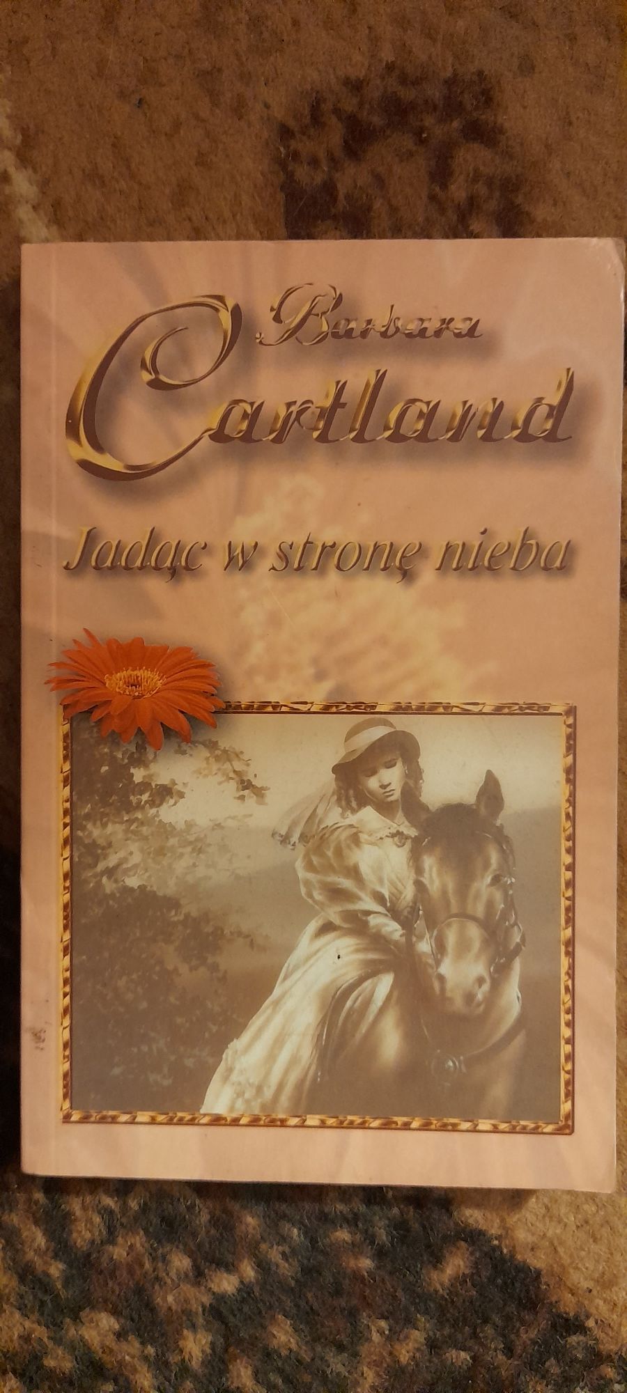 Jadąc w stronę nieba - Barbara Cartland