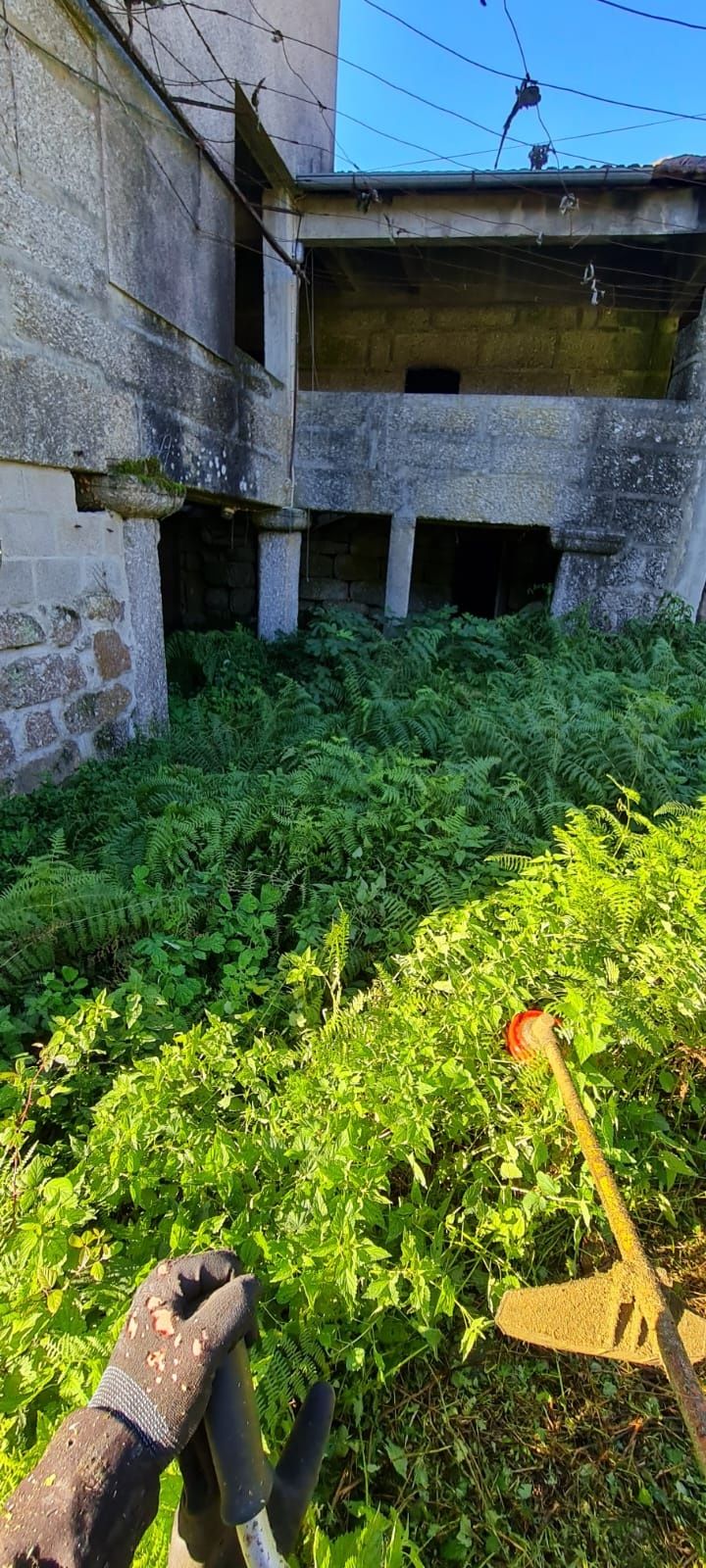 Limpezas de terrenos e jardineiro