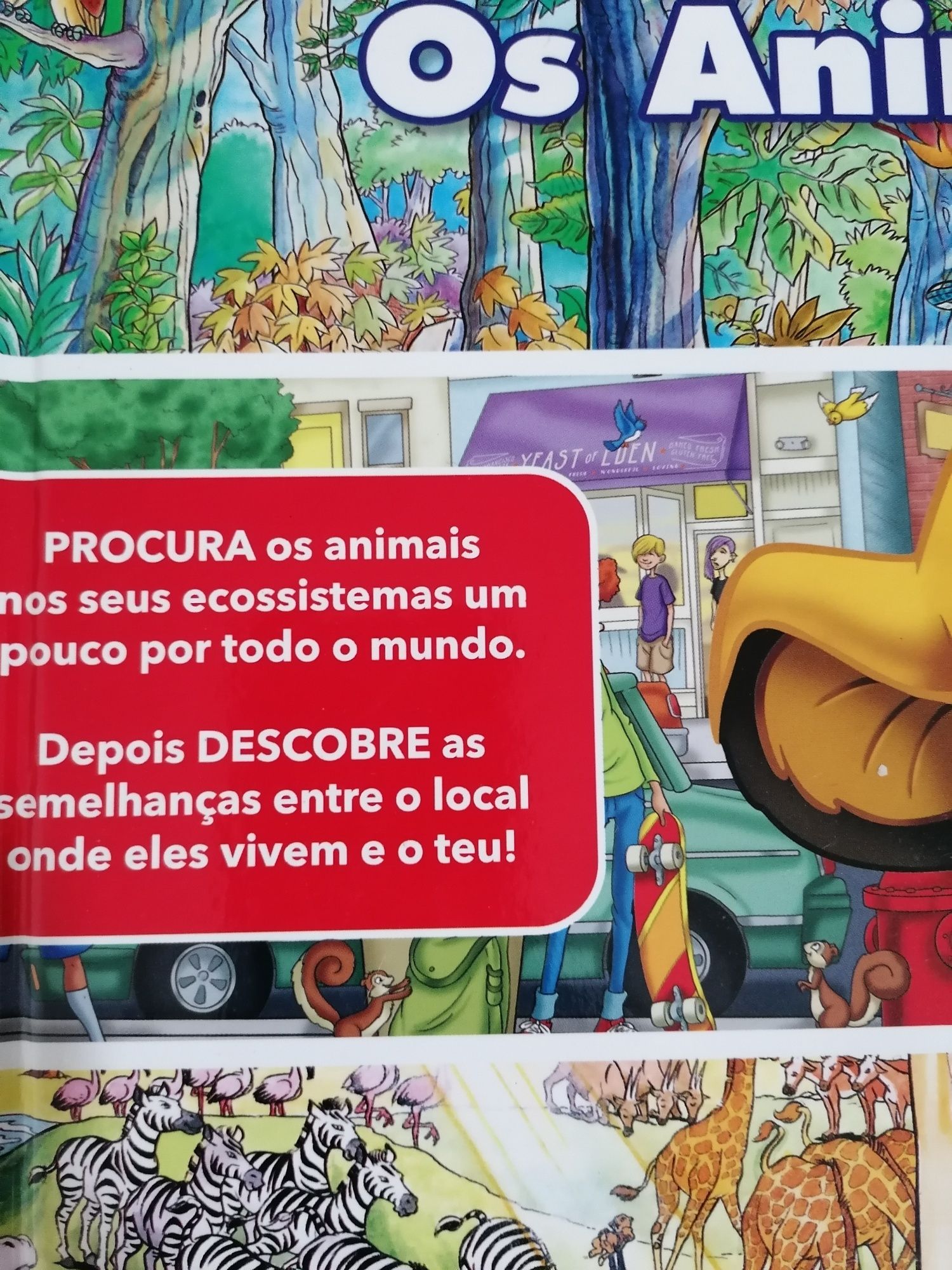 Livro Onde Vivem os Animais, da Disney