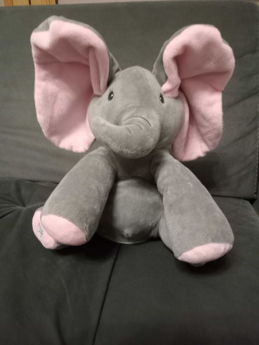 Słoń - śpiewający i ruszający uszami