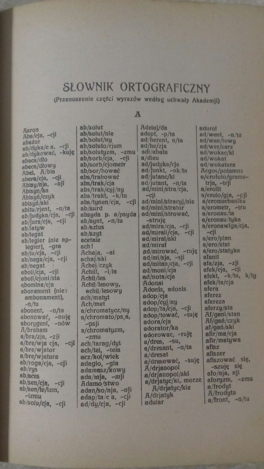 Грамматика и орфографический словарь польского языка,  1931 год