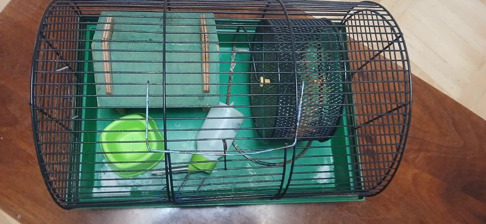 Клітка для хом'яка