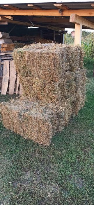 Продам сіно в тюках