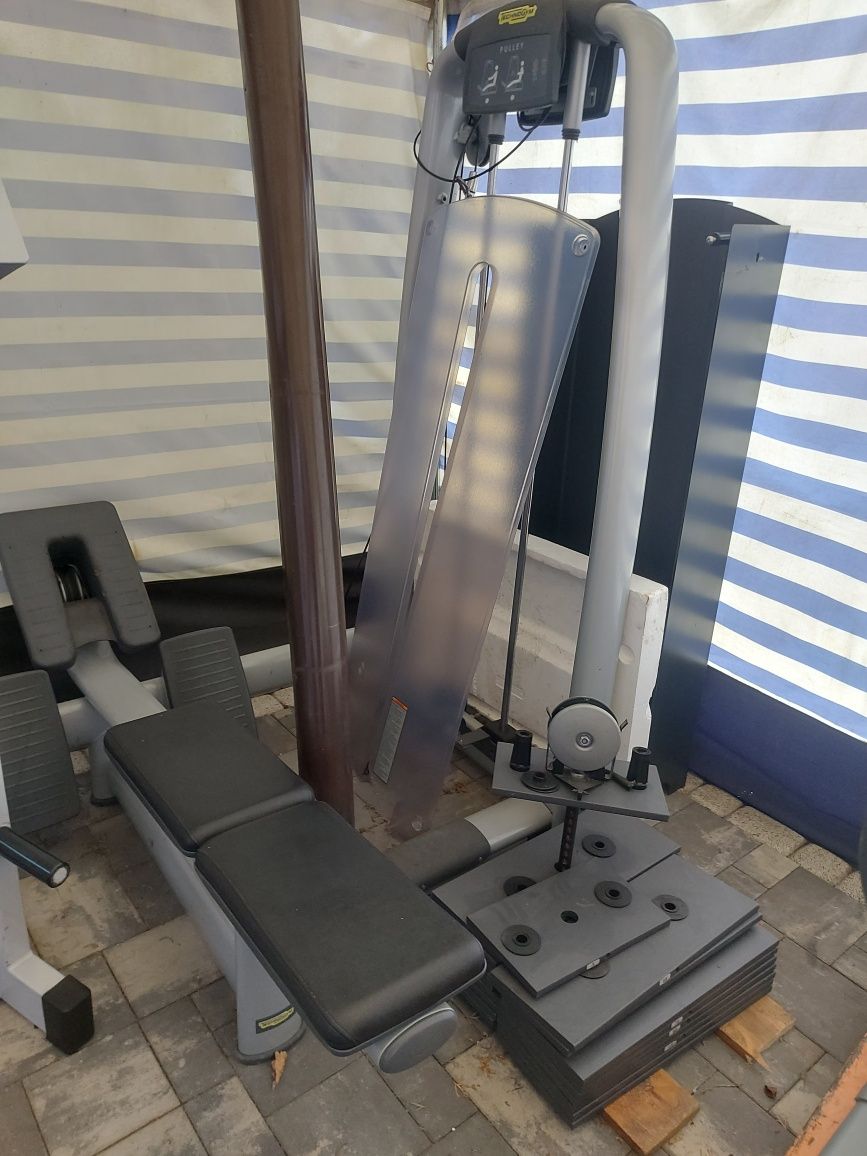 Maszyna na Plecy Technogym Selection Life fitness Matrix Siłownia