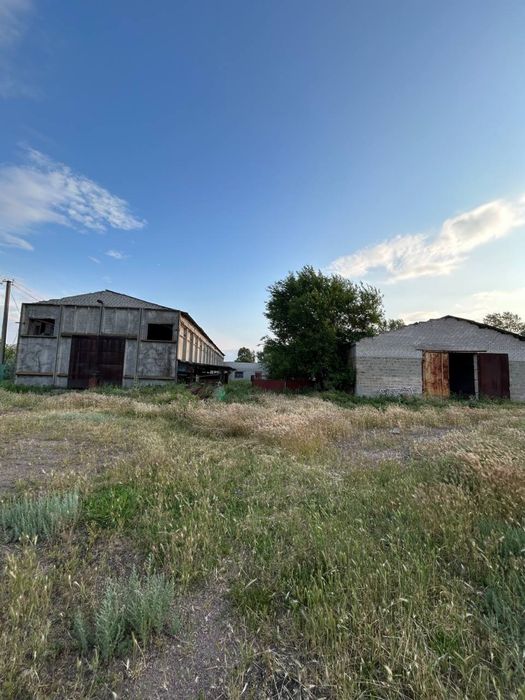 Продаж рибного господарства 504га в с. Куцеволівка