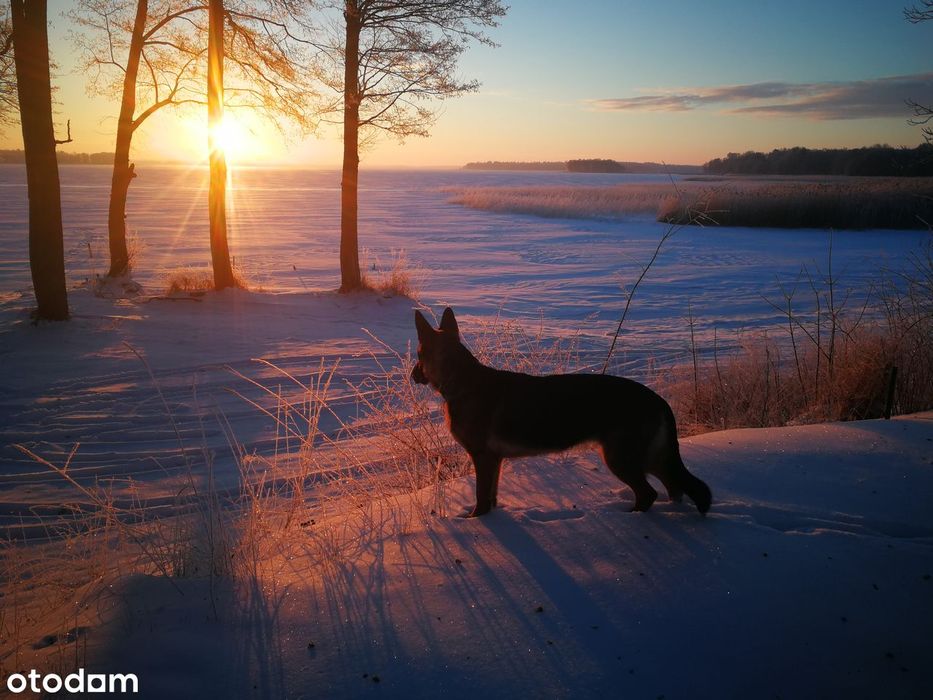 Dom z własną prywatną plażą i własnym pomostem nad jeziorem Mamry