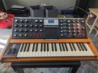 Moog Minimoog Voyager Performer Edition