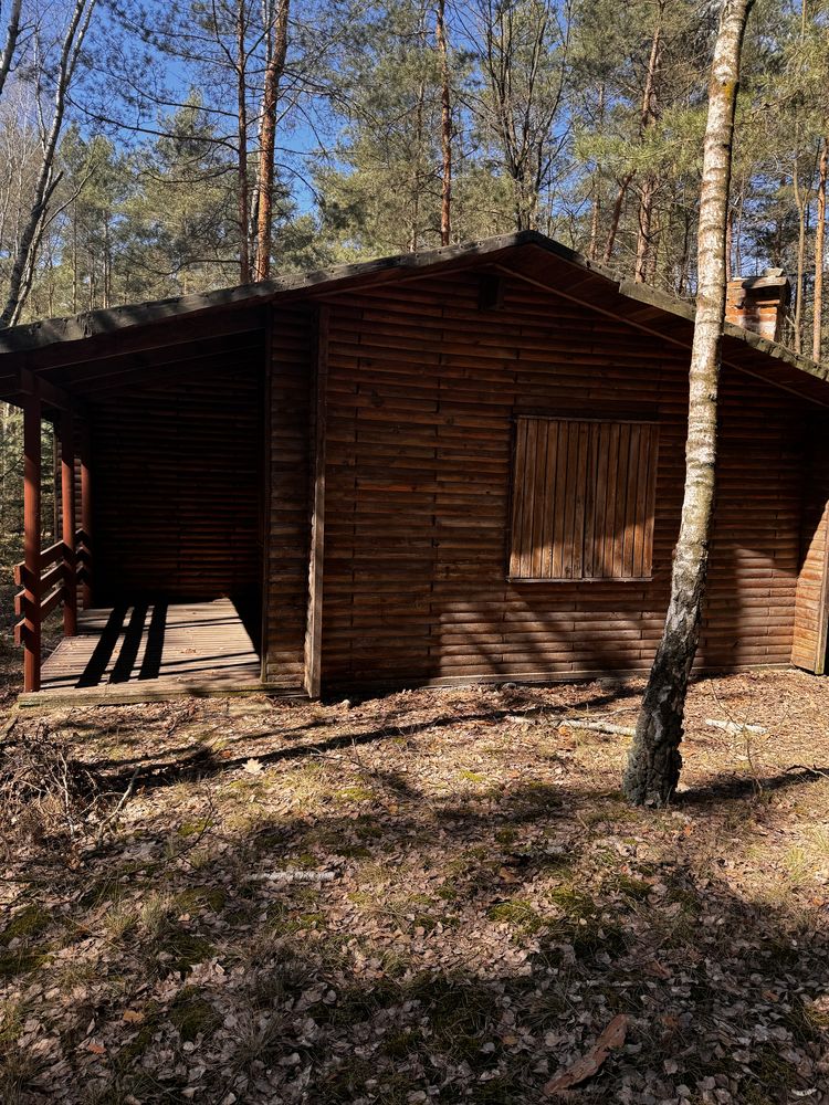 Domek nieopodal rzeki pod Warszawą na dużej działce