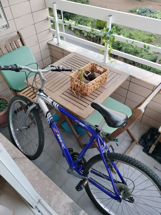 Bicicleta adulto