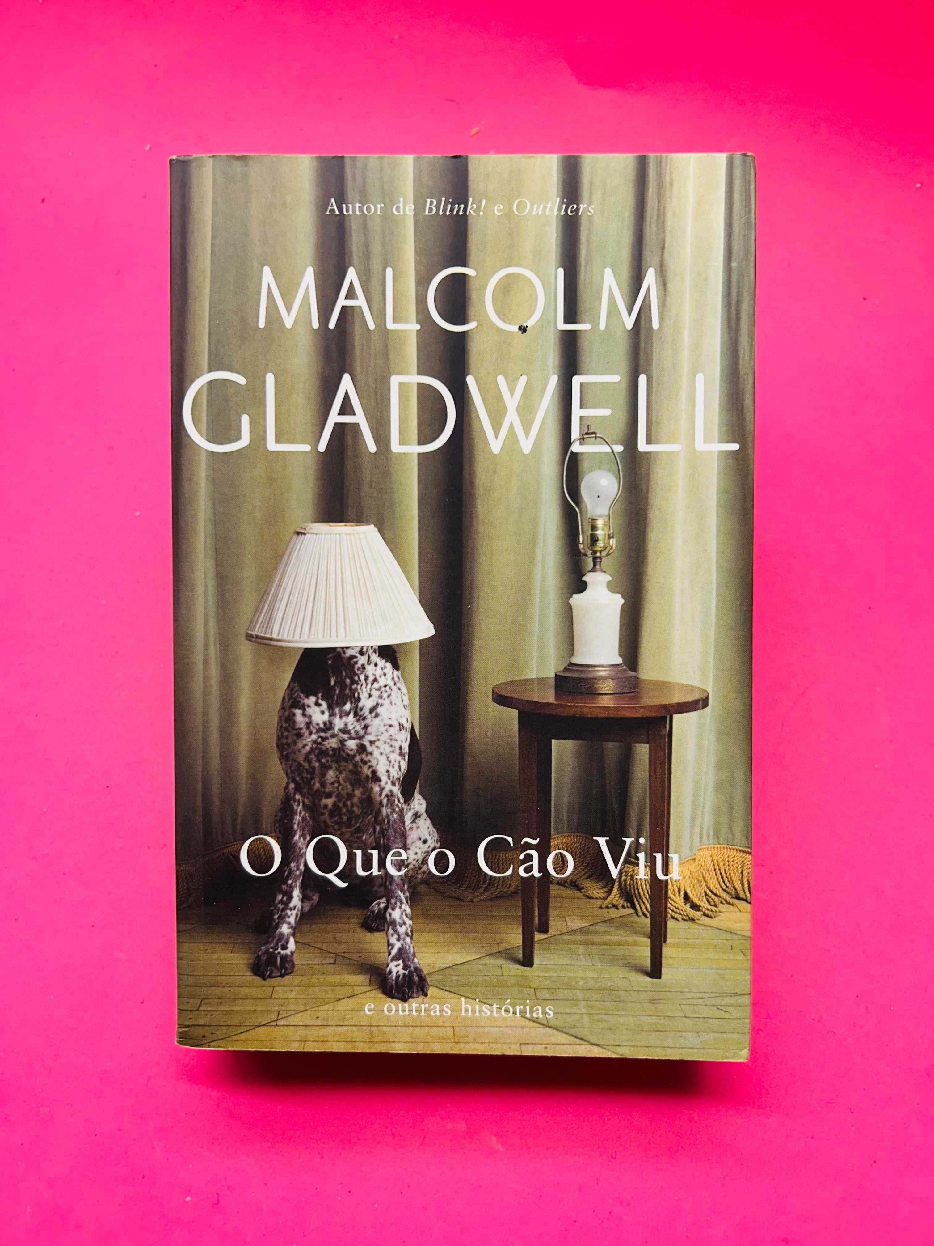 O Que o Cão Viu e Outras Histórias - Malcolm Gladwell