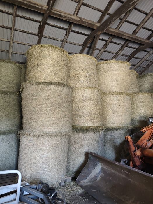 Sprzedam siano bele 130.Drugi pokos