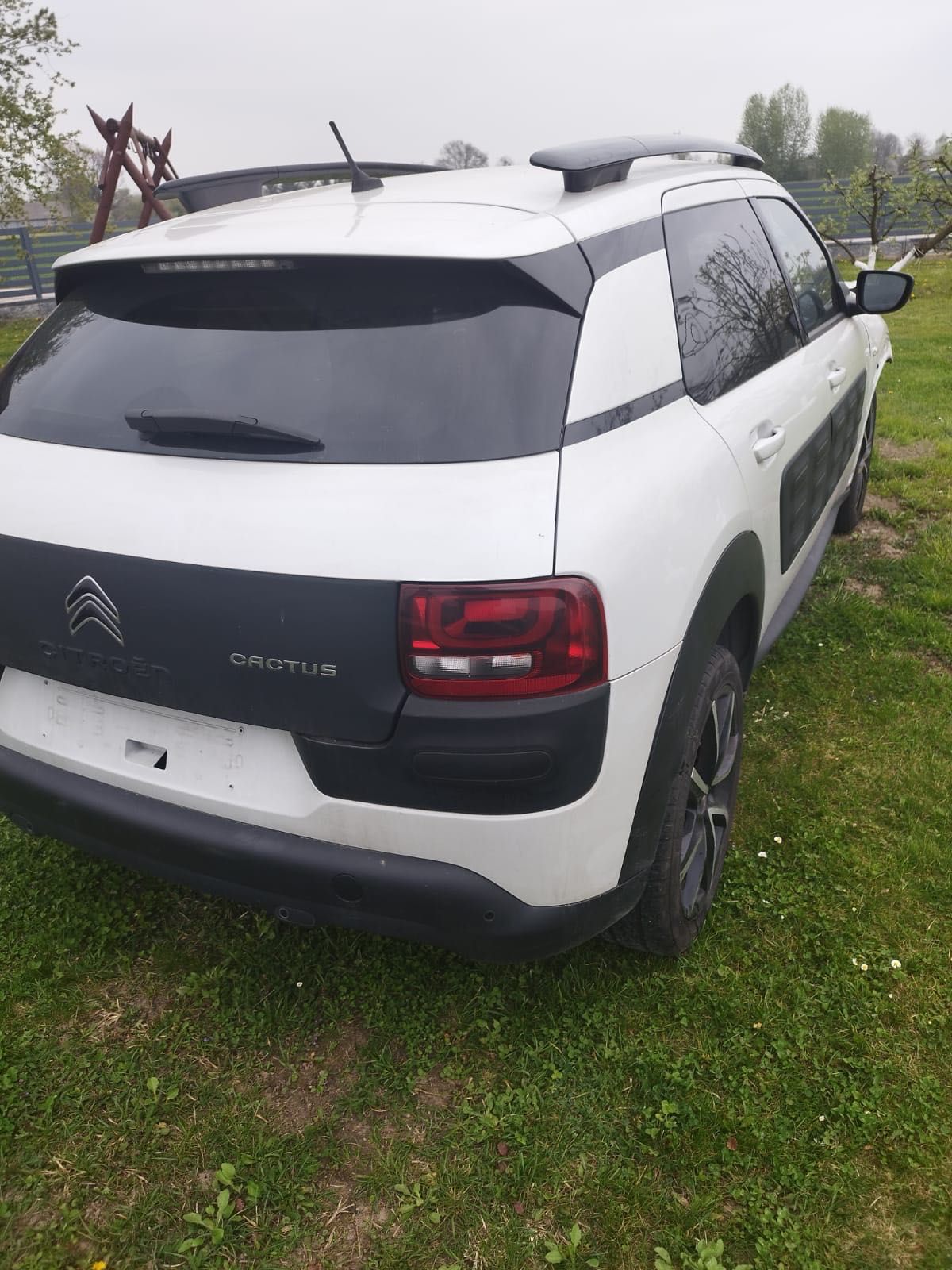 Citroen c4 Cactus