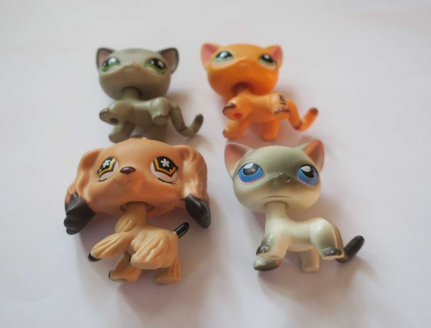 Pies spaniel kot shorthair littlest pet shop