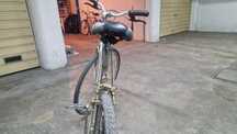 Bicicleta Pasteleira