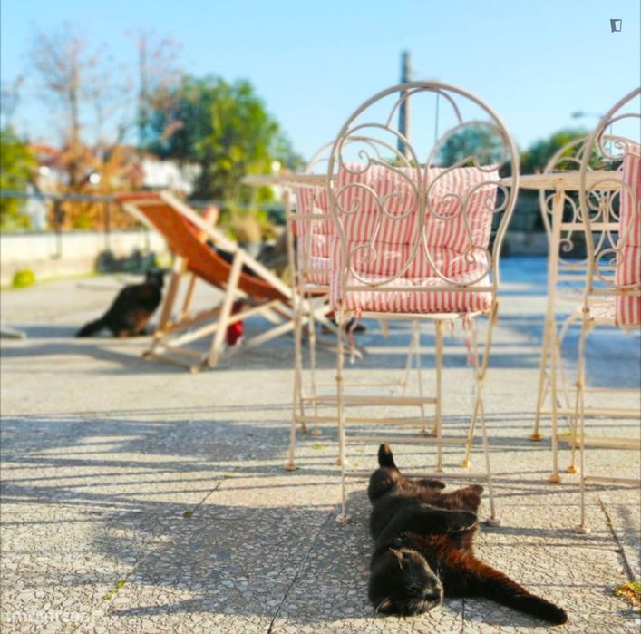 Quarto - localizado em Santo Ildefonso Porto
