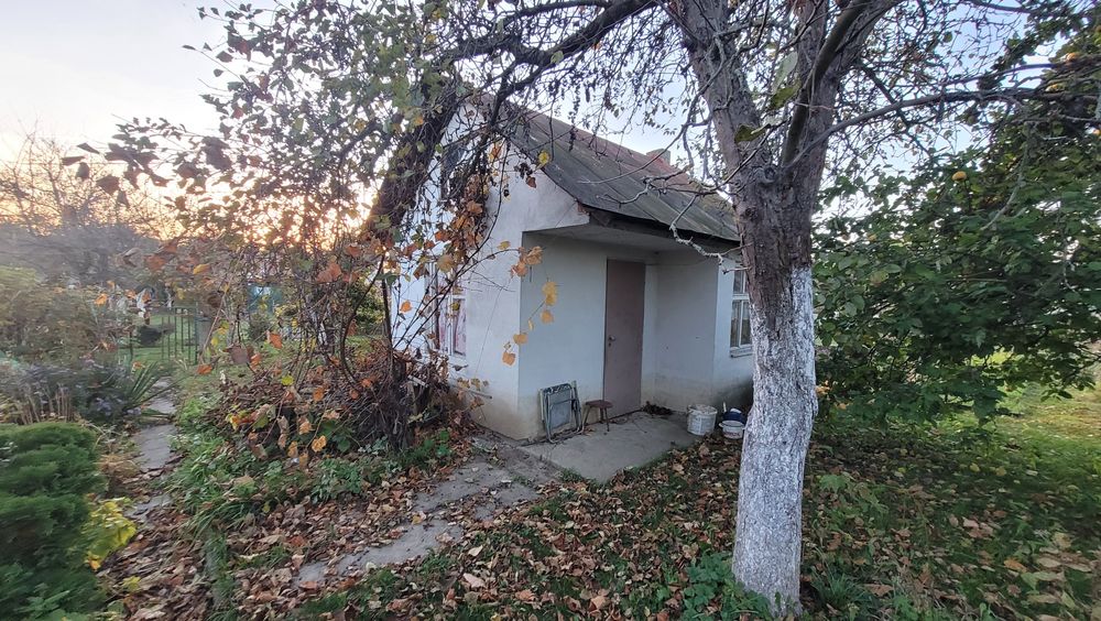 Działka ROD - ogródek rekreacyjny, Nysa, ul. Jagiełły.