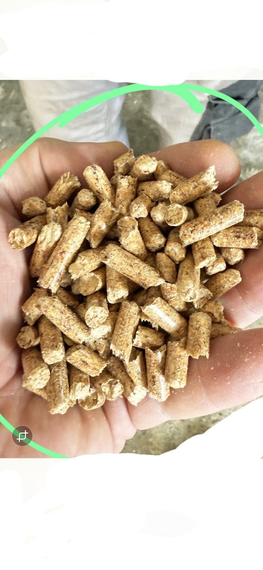 Pellet sosnowy Certyfikat Dartex A1 Wilga