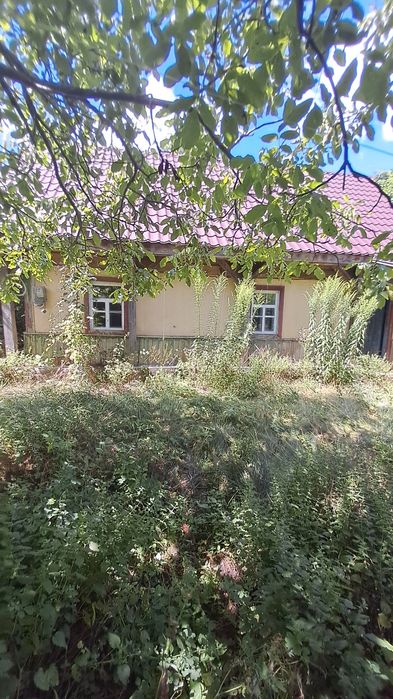 Будинок з газом в Козинці по центральній вулиці