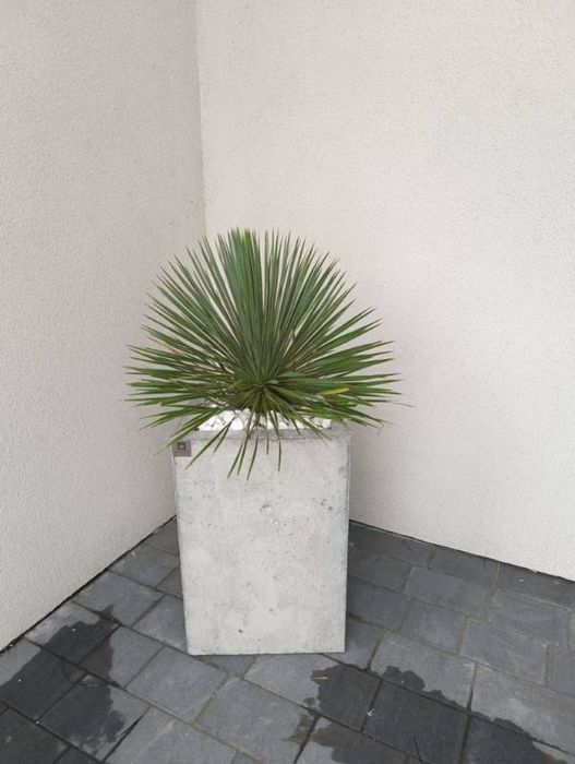 Donice betonowe 40x40x60