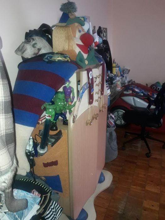 Шкаф дитячий в кімнату