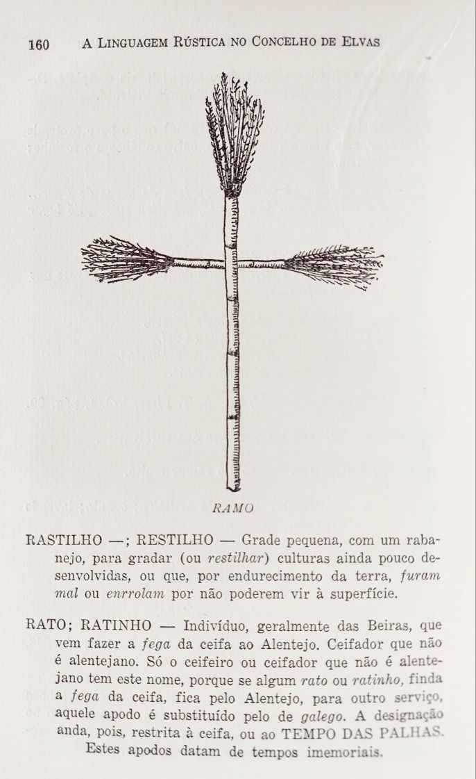 Linguagem Rústica de Elvas