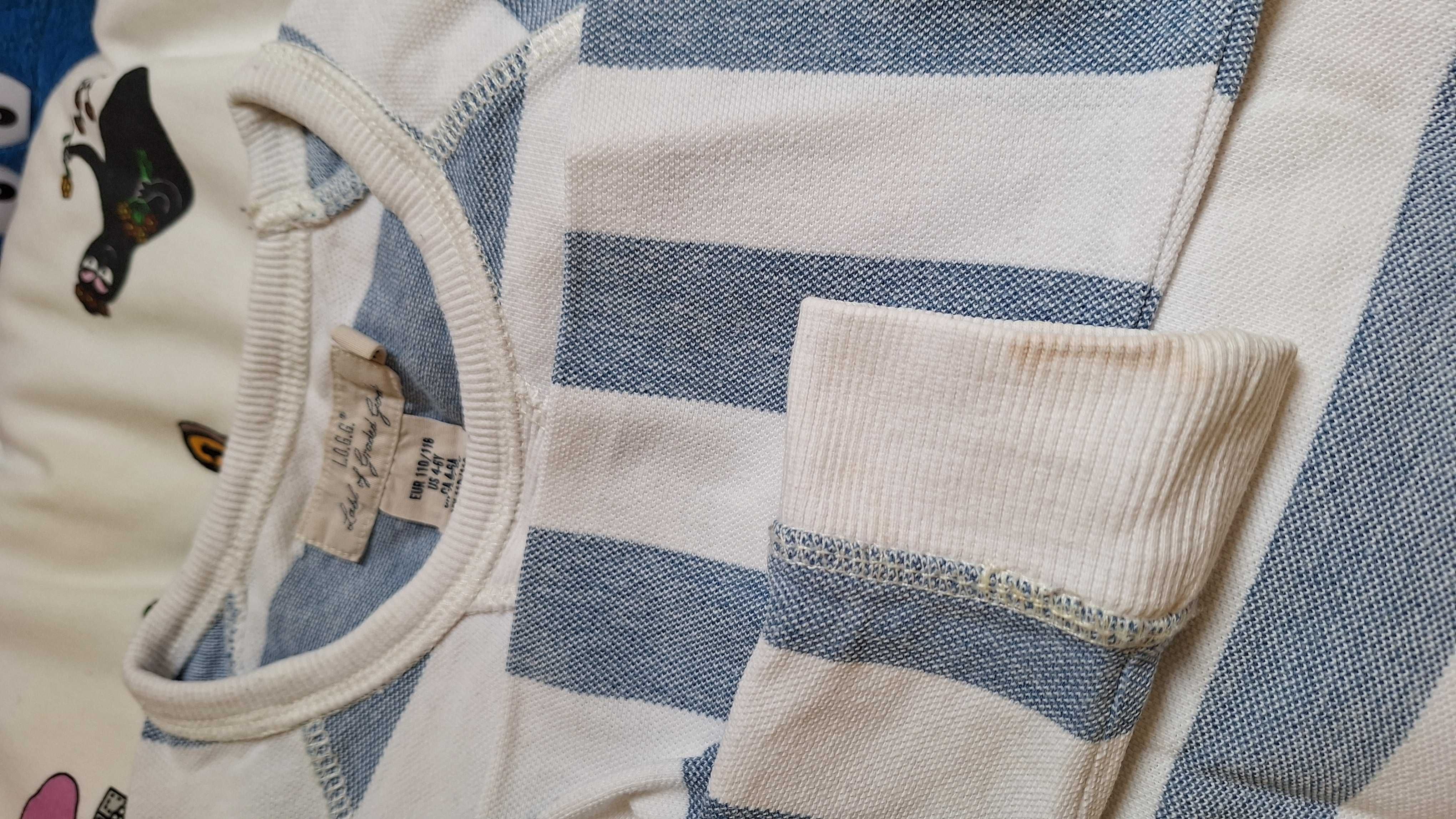 Bluza 110/116 H&M chłopiec 4-6 lat bawełna,paski