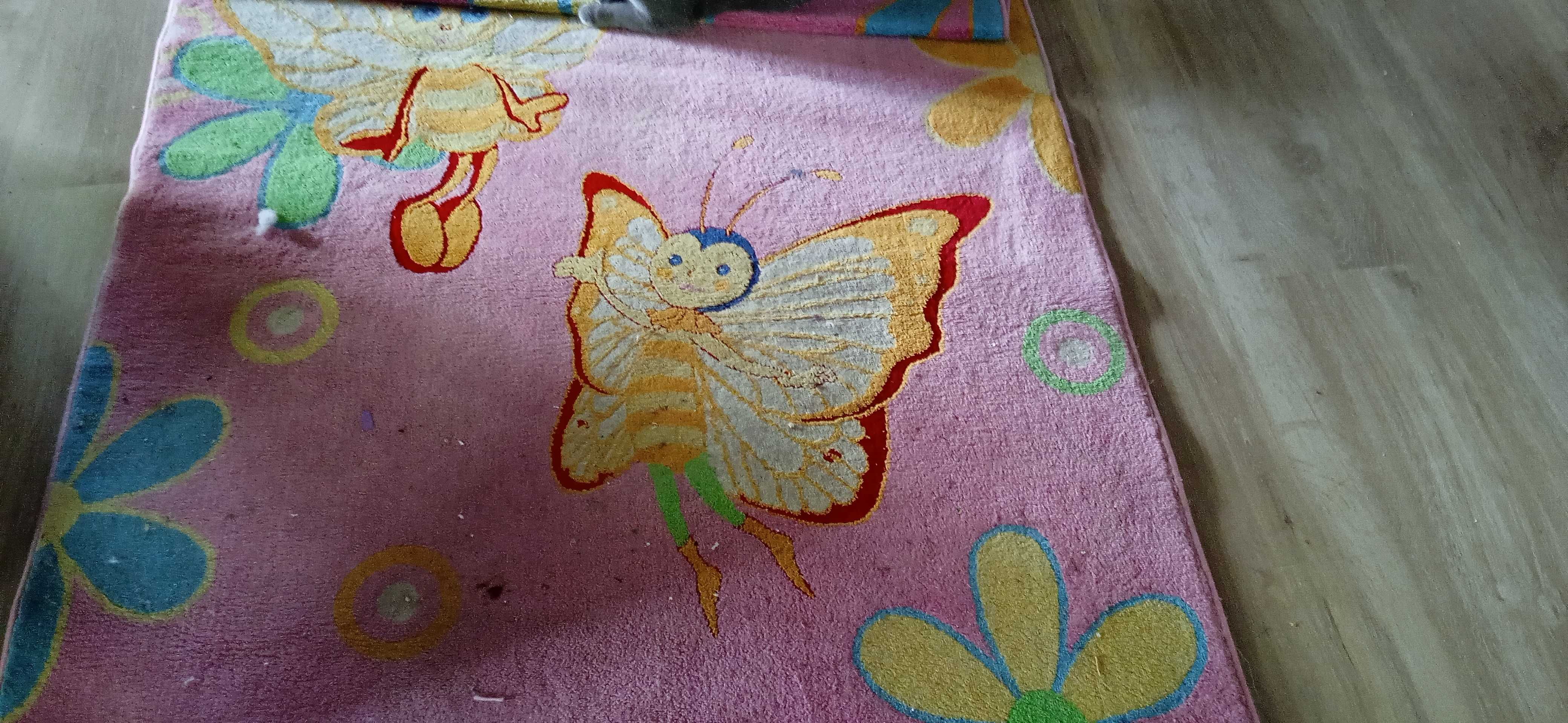 Dywan z motylami