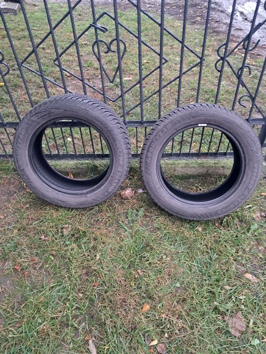 Opony wielosezonowe goodyear