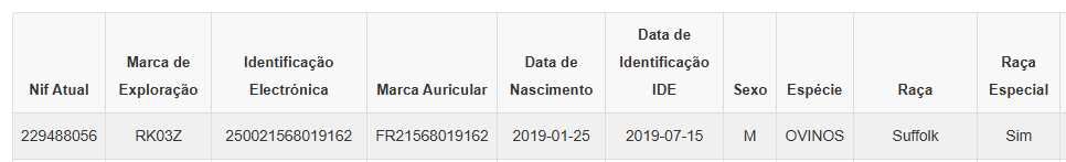 Vendo carneiro e borrego Suffolk
